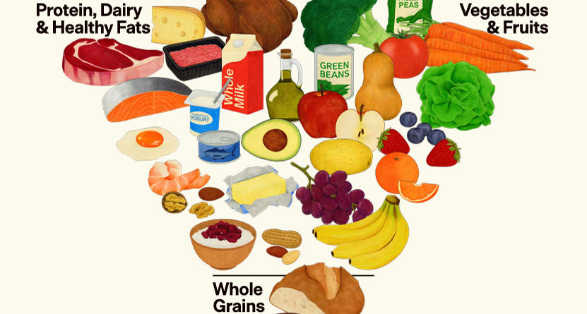 Le renversement de la pyramide alimentaire américaine en 2026 : information, débats et réflexions